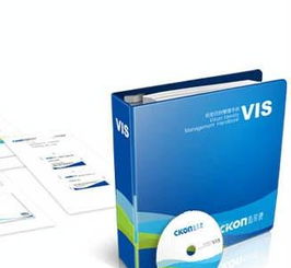 企业VIS形象设计与品牌策划推广 构建品牌价值的核心要素