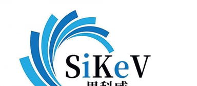 企业数字化形象构建 从网站建设到电商设计与品牌策划
